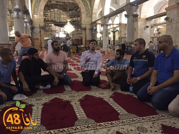 yaffa rebatt3 (3).jpg